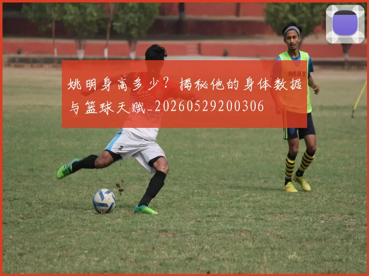 姚明身高多少？揭秘他的身体数据与篮球天赋_20260529200306