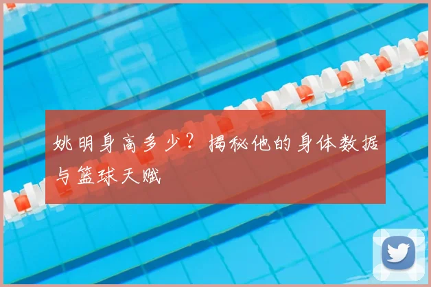 姚明身高多少?揭秘他的身体数据与篮球天赋